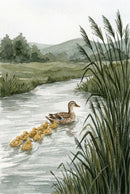 Mother duck swimming along a calm stream followed by a line of ducklings, surrounded by tall grasses and a soft green countryside landscape.
