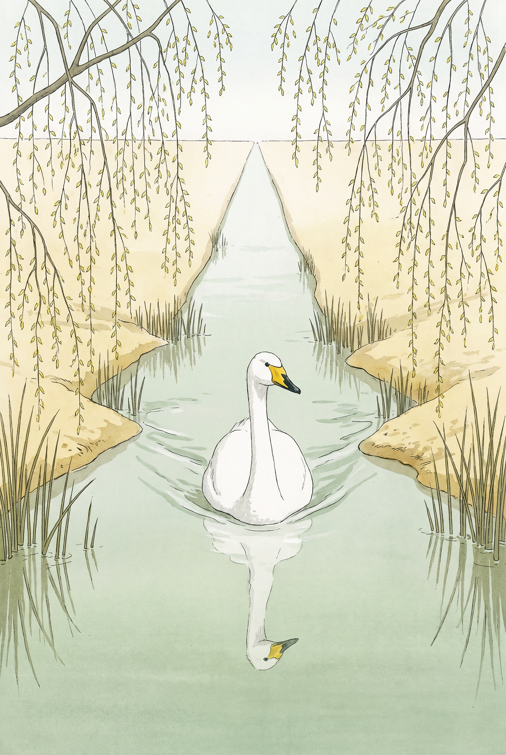 Weeping Willow White Swan Wall Art - Serene Swan Reflection