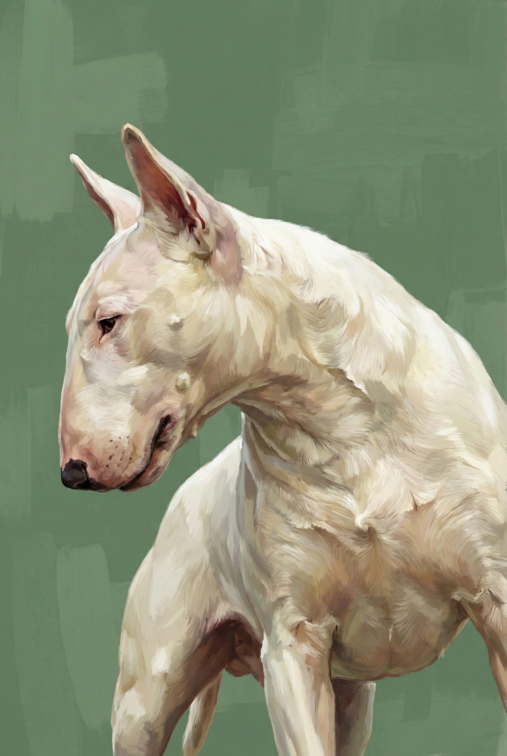 Close-up digital painting of a white Bull Terrier with a muscular build, depicted in a realistic style. The dog’s head is turned slightly downward and to the side, showcasing its strong neck and expressive posture. The background is a soft, textured green, which complements the creamy tones of the dog's fur and enhances the portrait’s elegant, painterly feel.