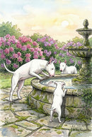 In a quaint stone garden, two adult bull terriers and a puppy gather around an old fountain, peering into the water. Bright blooming rhododendrons and soft sunlight enhance the peaceful charm.
