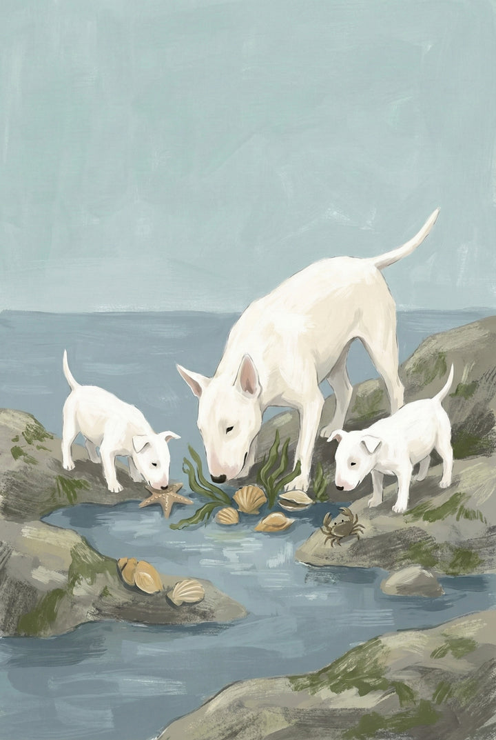 Three bull terriers explore a rocky tidepool beside the sea, sniffing at seaweed, shells, a crab, and a starfish. The gentle coastal setting is painted in soft, muted tones.
