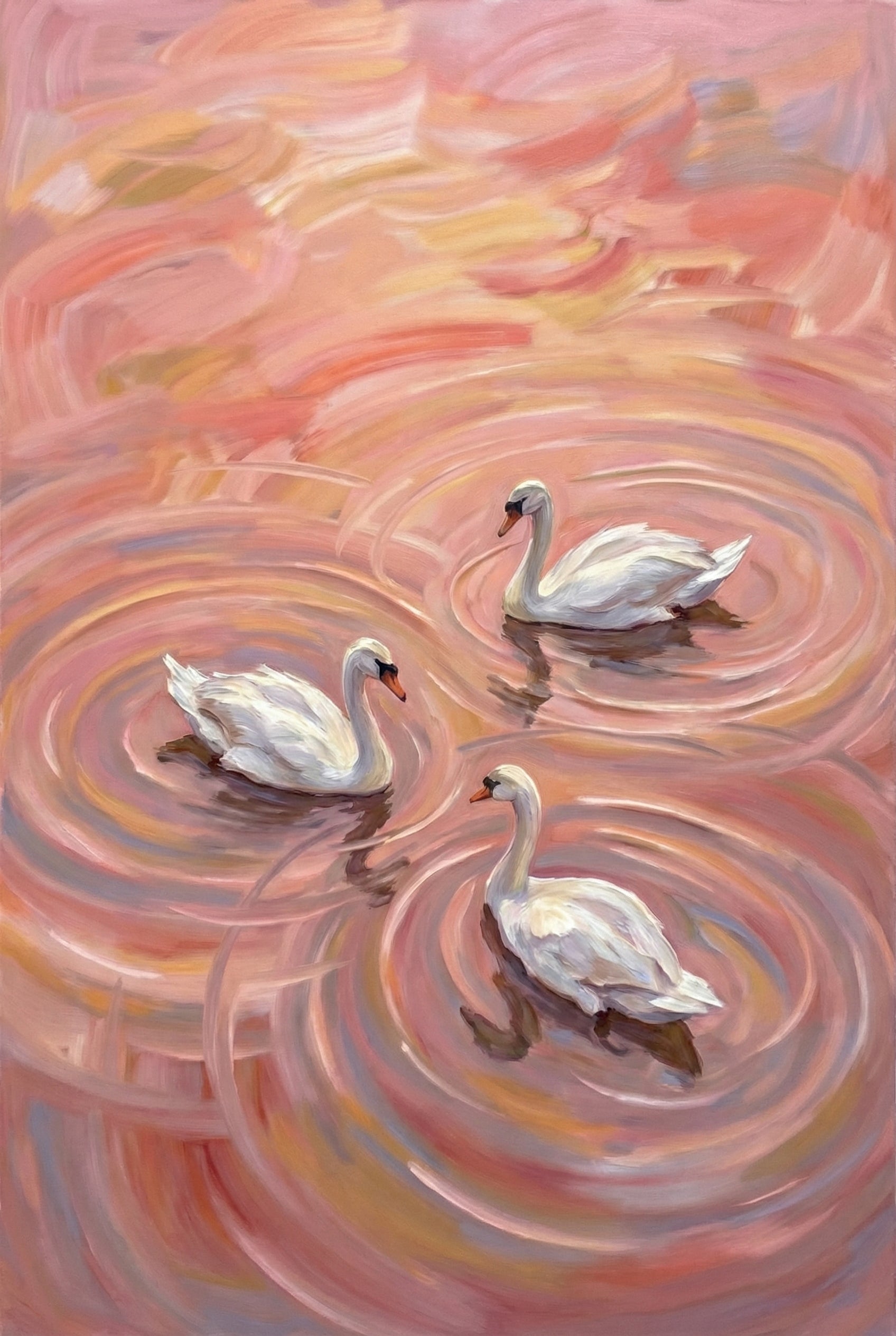 White Swans Artwork - Pink Ripple Grace