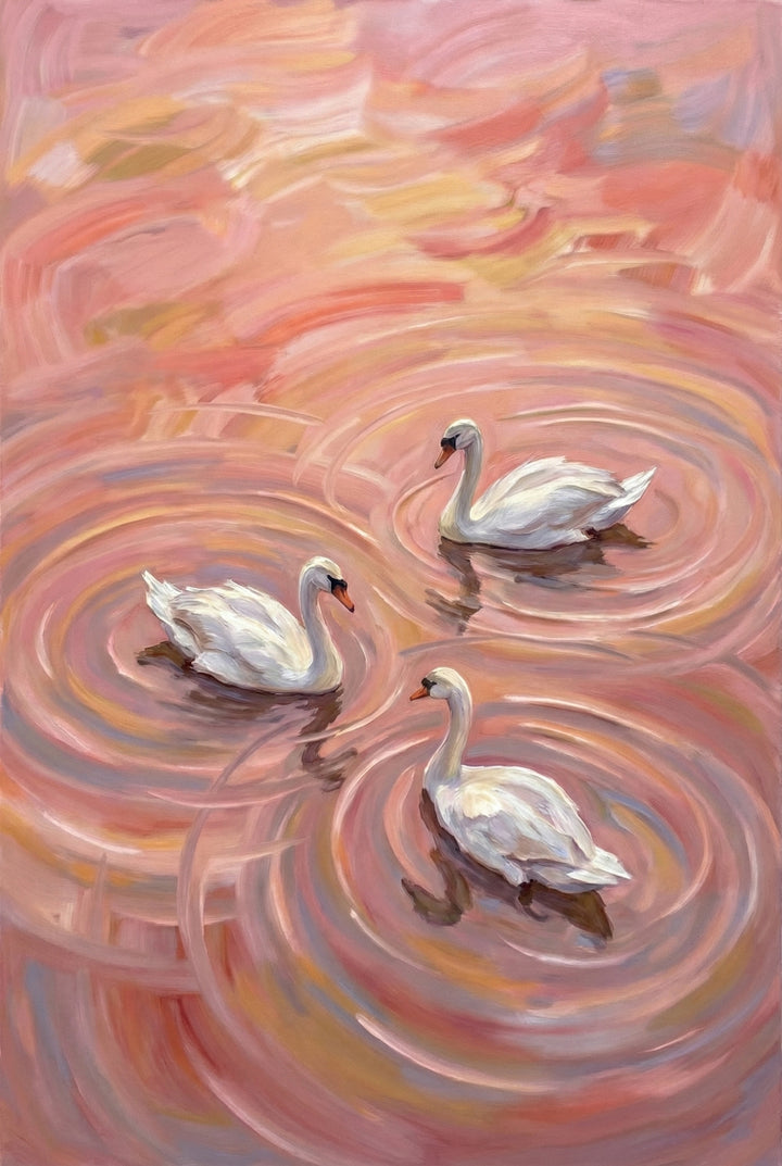 Three white swans float on swirling pink and peach water, creating circular ripples around their bodies. The painterly brushstrokes and warm pastel colors give the scene a soft romantic feel.
