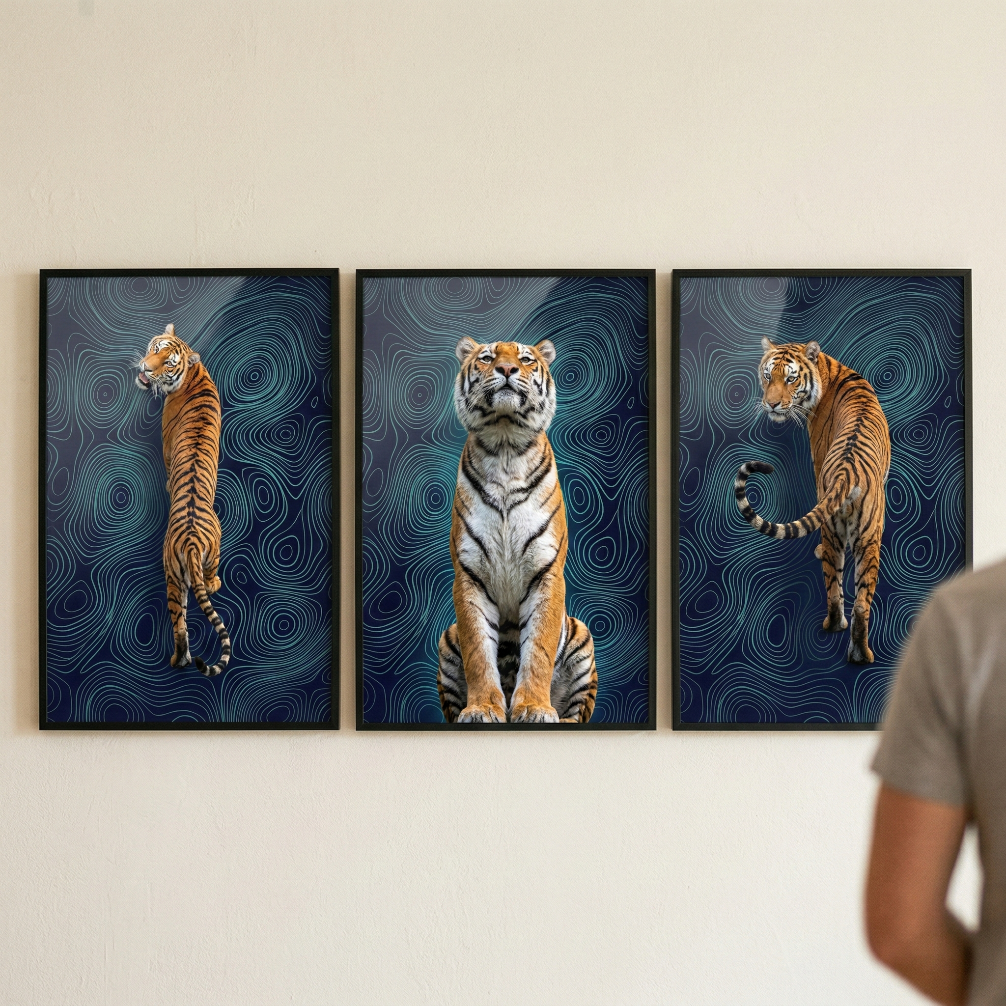 Three framed tiger prints hang side by side on a white wall. Each print shows a tiger in a different pose against a blue background with abstract topographic line patterns while a person stands partially in frame on the right looking at the artwork.