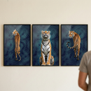 Three framed tiger prints hang side by side on a white wall. Each print shows a tiger in a different pose against a blue background with abstract topographic line patterns while a person stands partially in frame on the right looking at the artwork.