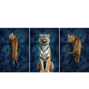 Three tiger artworks arranged side by side on a wide canvas layout. Each panel shows a tiger in a different pose against a deep blue background filled with flowing topographic line patterns.
