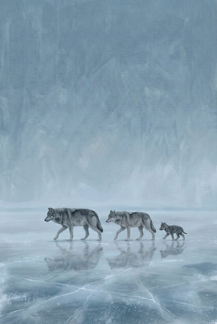 A trio of wolves—two adults and a pup—walk single file across a frozen lake. Their reflections shimmer on the icy surface, set against a wintry blue landscape that stretches into the distance.
