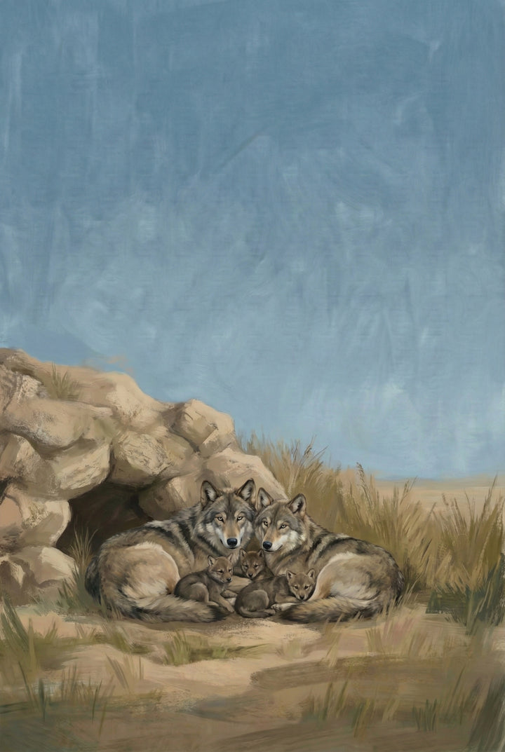 A pair of wolves lie curled protectively around their three pups outside a rocky den. The setting is a dry, grassy plain with a clear blue sky, capturing a moment of warmth and family in the wild.
