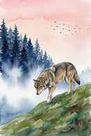 Watercolor illustration of a wolf stepping carefully down a green hillside. Dark evergreen trees and drifting mist fill the background under a peach toned sky with birds overhead. The lowered head and steady stride suggest focused movement through its territory.
