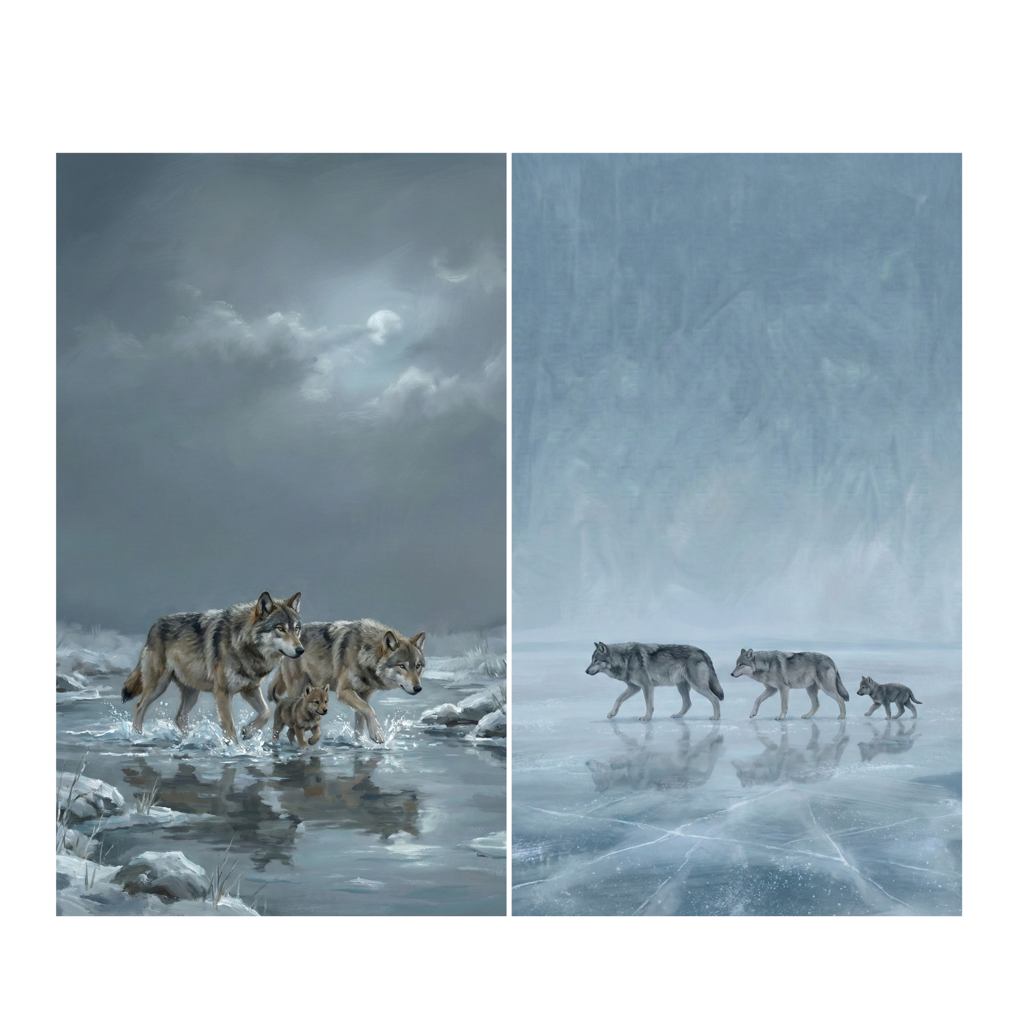 Two vertical panels showcase wolves in a cold wilderness. On the left, two adult wolves and a cub wade through shallow, splashing water near a snowy bank under a dark, moonlit sky. On the right, three wolves walk across an expanse of cracked ice, their forms reflected on the surface against a soft, misty blue background. Both scenes are rendered in a detailed, realistic style that captures a quiet, natural moment in a frozen winter landscape.