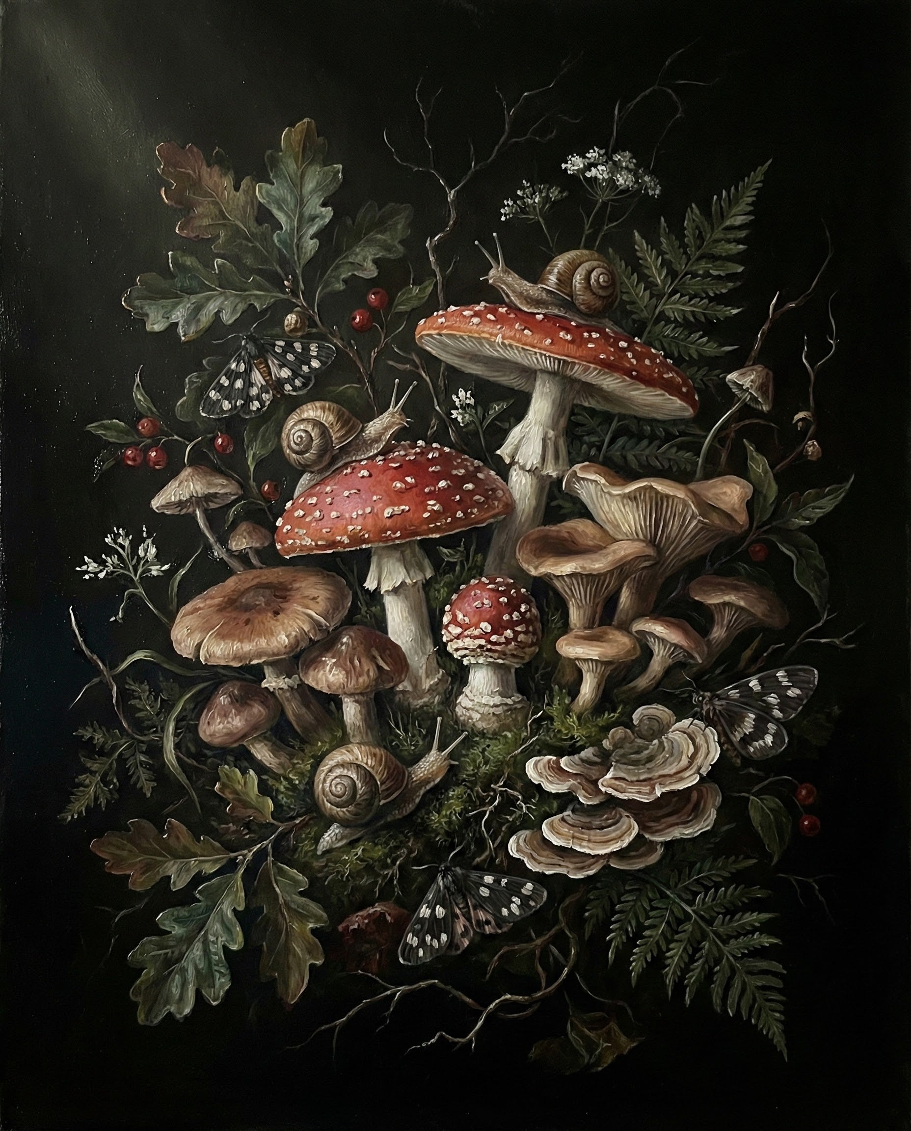 A dark, realistic painting of various mushrooms and snails surrounded by ferns and leaves, with a subtle glow from the natural light, highlighting the delicate textures and mysterious beauty of the forest floor.
