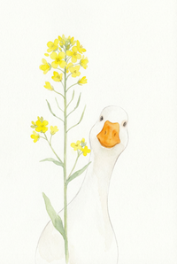 Soft watercolor illustration of a white duck peeking from behind a tall stem of small yellow flowers against a clean white background. The simple composition and gentle colors create a calm and delicate farmhouse style scene.

