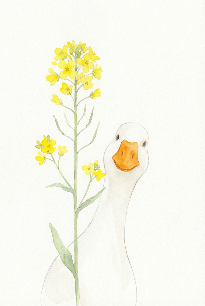 Soft watercolor illustration of a white duck peeking from behind a tall stem of small yellow flowers against a clean white background. The simple composition and gentle colors create a calm and delicate farmhouse style scene.

