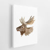 Animals Wall Art | Set of 2 |  It’s a Wild Life | For Nurseries & Kid's Rooms