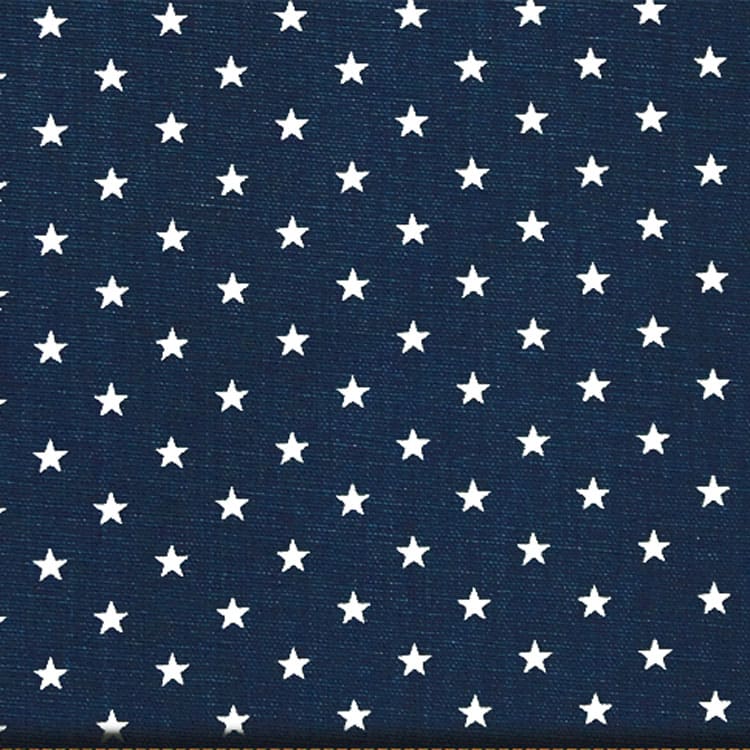 Mini Star Premier Navy [Blue057]